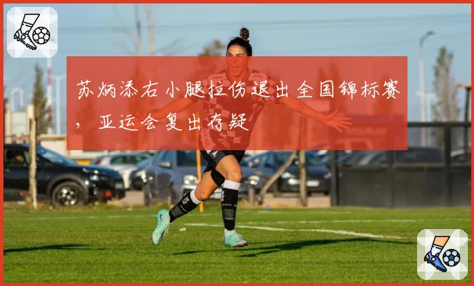 苏炳添右小腿拉伤退出全国锦标赛,亚运会复出存疑