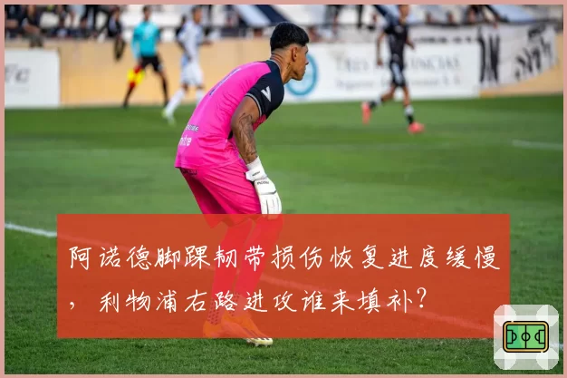 阿诺德脚踝韧带损伤恢复进度缓慢，利物浦右路进攻谁来填补？