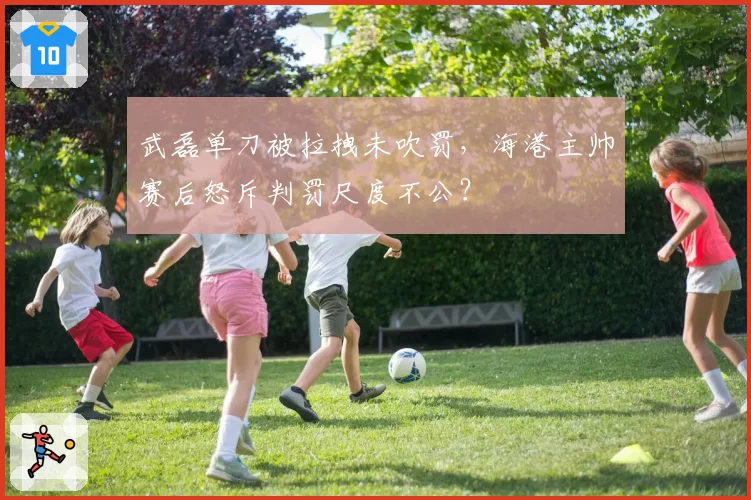 武磊单刀被拉拽未吹罚,海港主帅赛后怒斥判罚尺度不公?