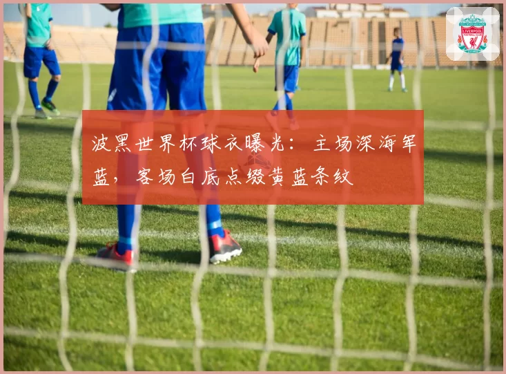 波黑世界杯球衣曝光：主场深海军蓝，客场白底点缀黄蓝条纹